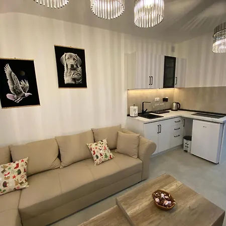 Izvor Tisine Apartment *